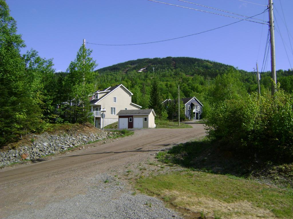 Villa Vue sur la montagne à LʼAnse-Saint-Jean Extérieur photo