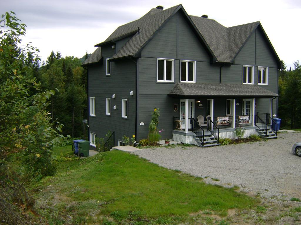 Villa Vue sur la montagne à LʼAnse-Saint-Jean Extérieur photo